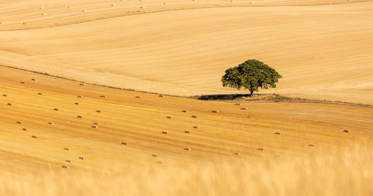 Bing Wallpaper September 7 2026 United Kingdom bing-wallpaper-september-7-2026-united-kingdom