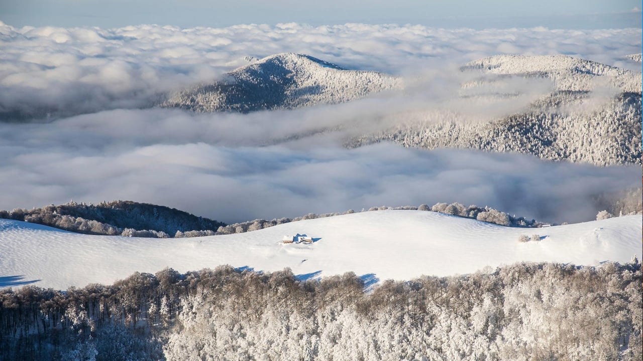 Le Ballon d'Alsace, Territoire de Belfort, France (© VUANO Tristan/Hemis.fr/Alamy Stock Photo)