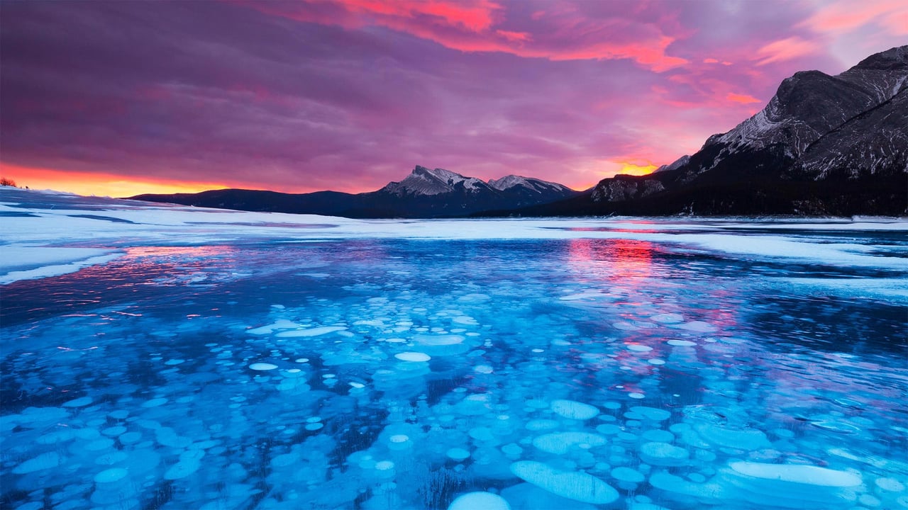 Bubbles in the ice of Abraham Lake in Alberta, Canada (© robertharding/Alamy)