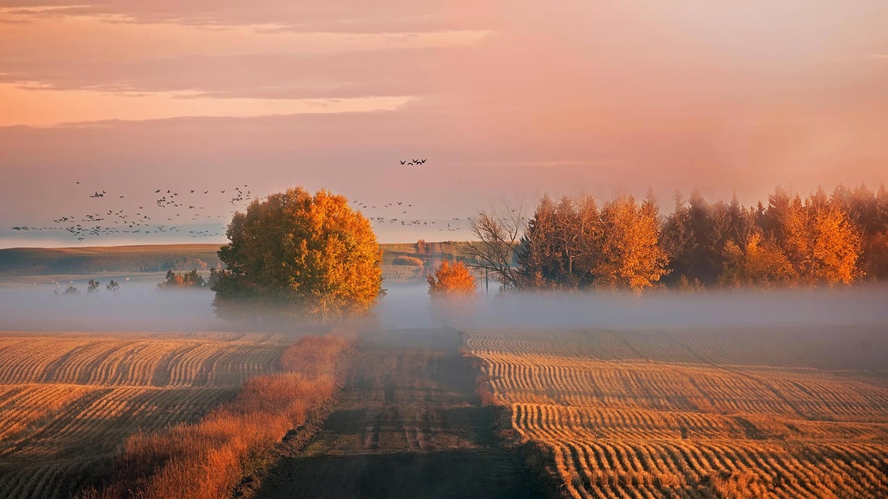 Sunrise in Alberta, Canada (© Ambre Haller/Moment/Getty Images)