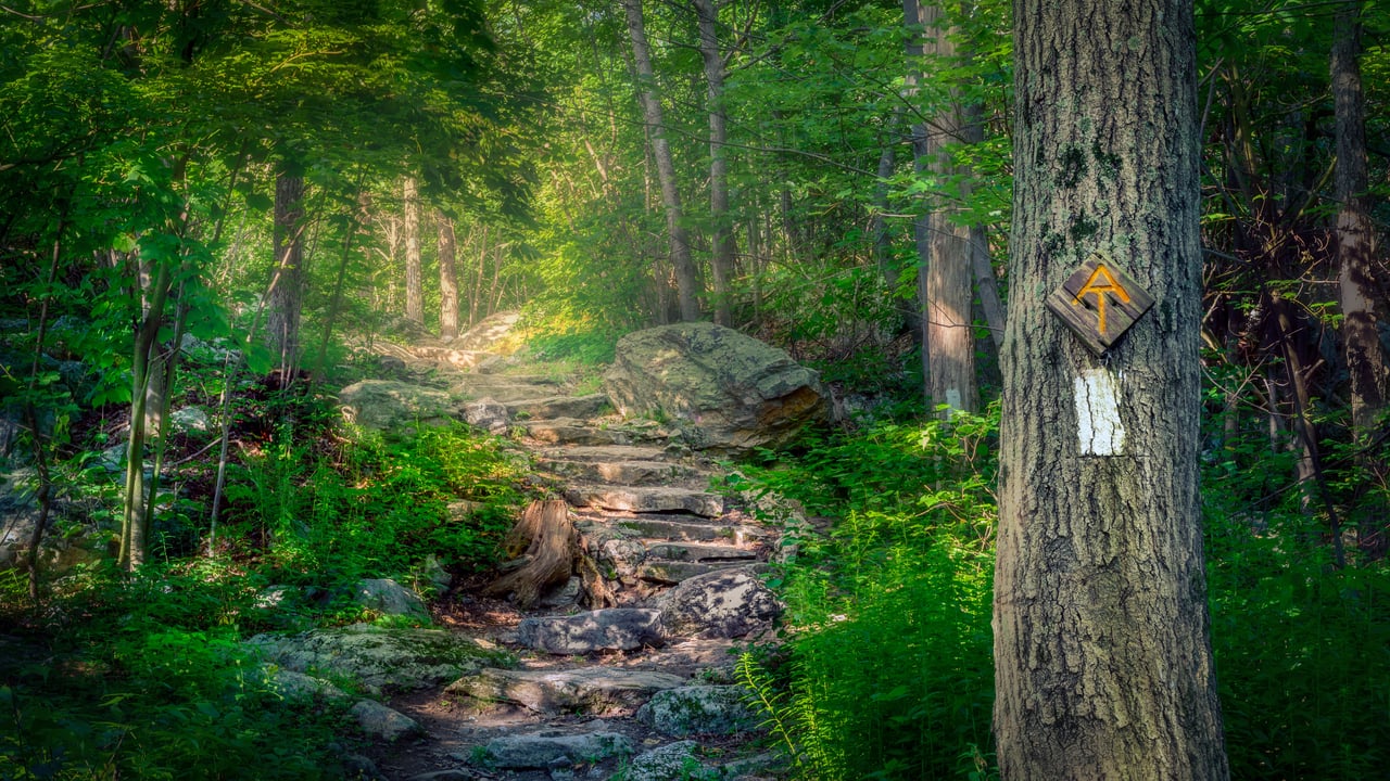 The Appalachian Trail in Stokes State Forest, New Jersey (© Frank DeBonis/Getty Images)