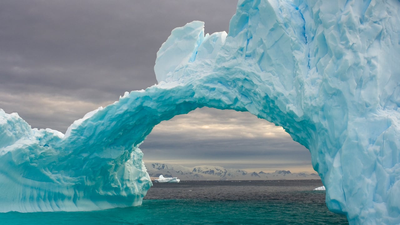 Arched iceberg floating off the western Antarctic Peninsula, Southern Ocean (© Steven Kazlowski/Nature Picture Library)