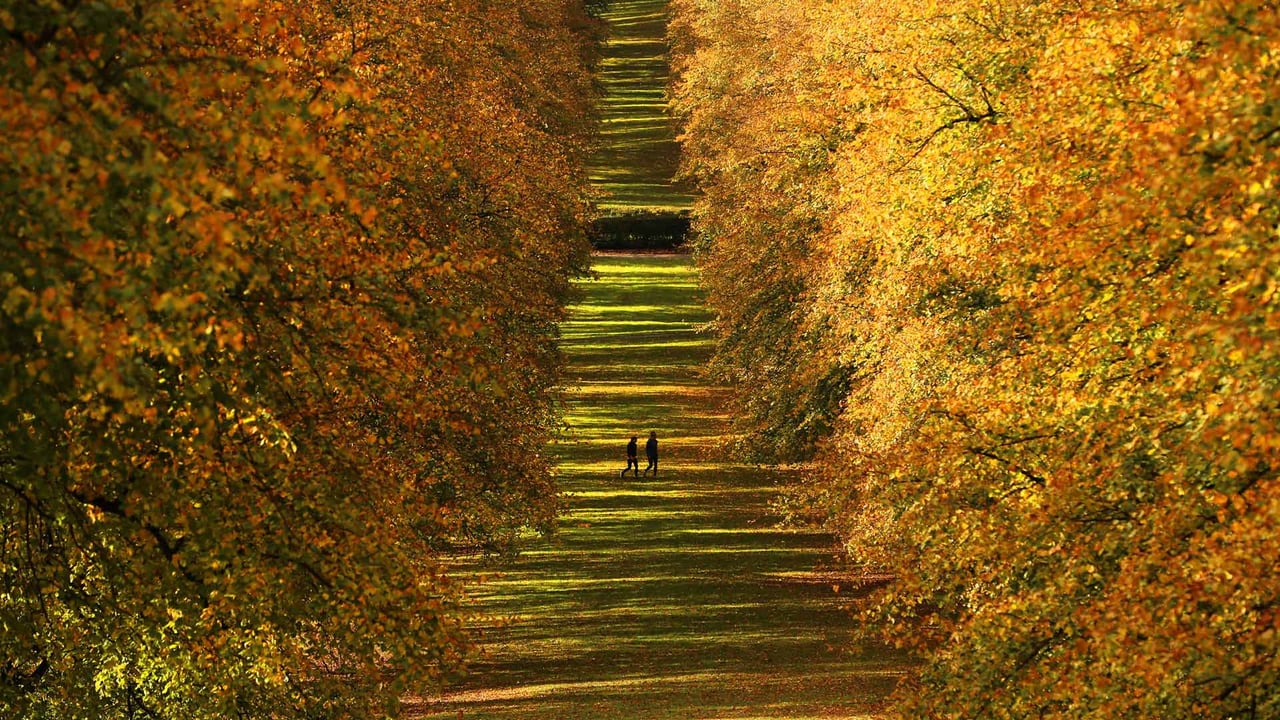 Stormont Estate, Northern Ireland (© Brian Lawless/PA Images/Getty Images)