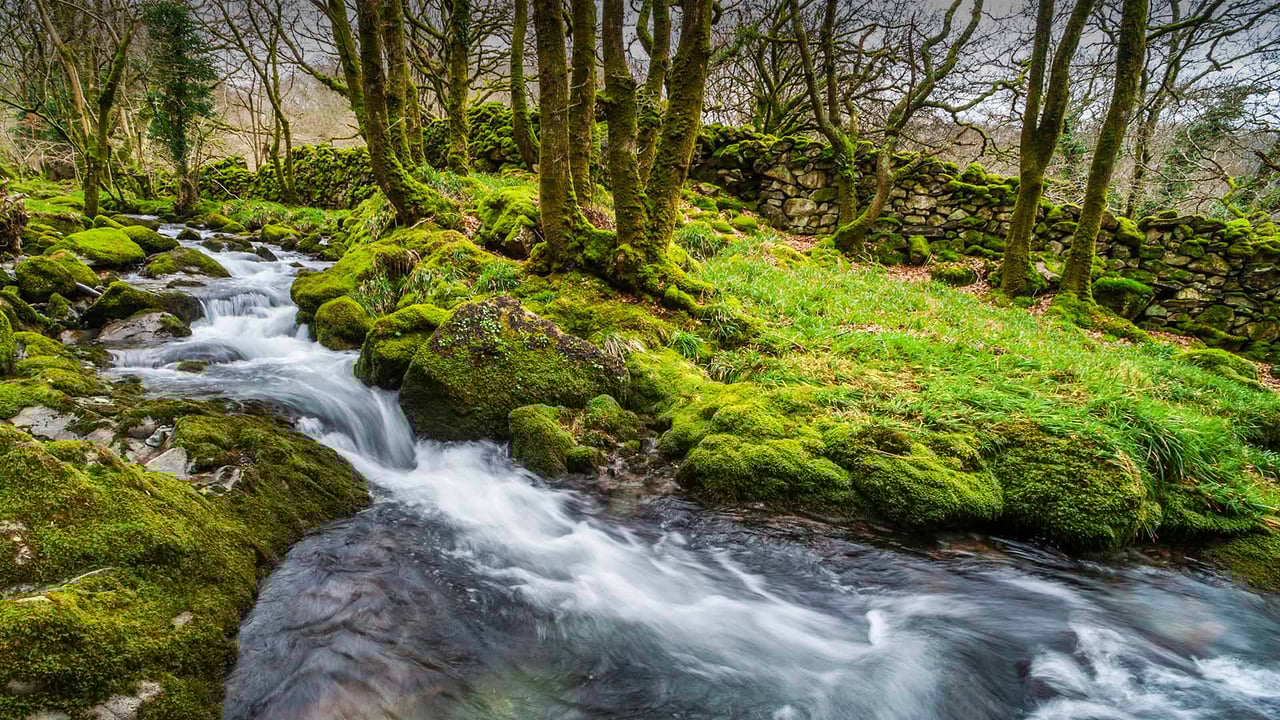Croesor Valley, Snowdonia National Park, Wales, UK (© Matthew Williams-Ellis/Plainpicture)