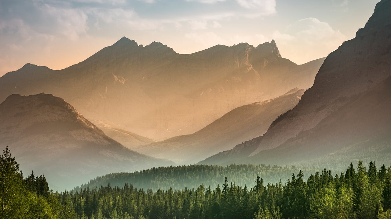 Mist rises over the forest in Banff National Park, Alberta (© Pgiam/Getty Images)
