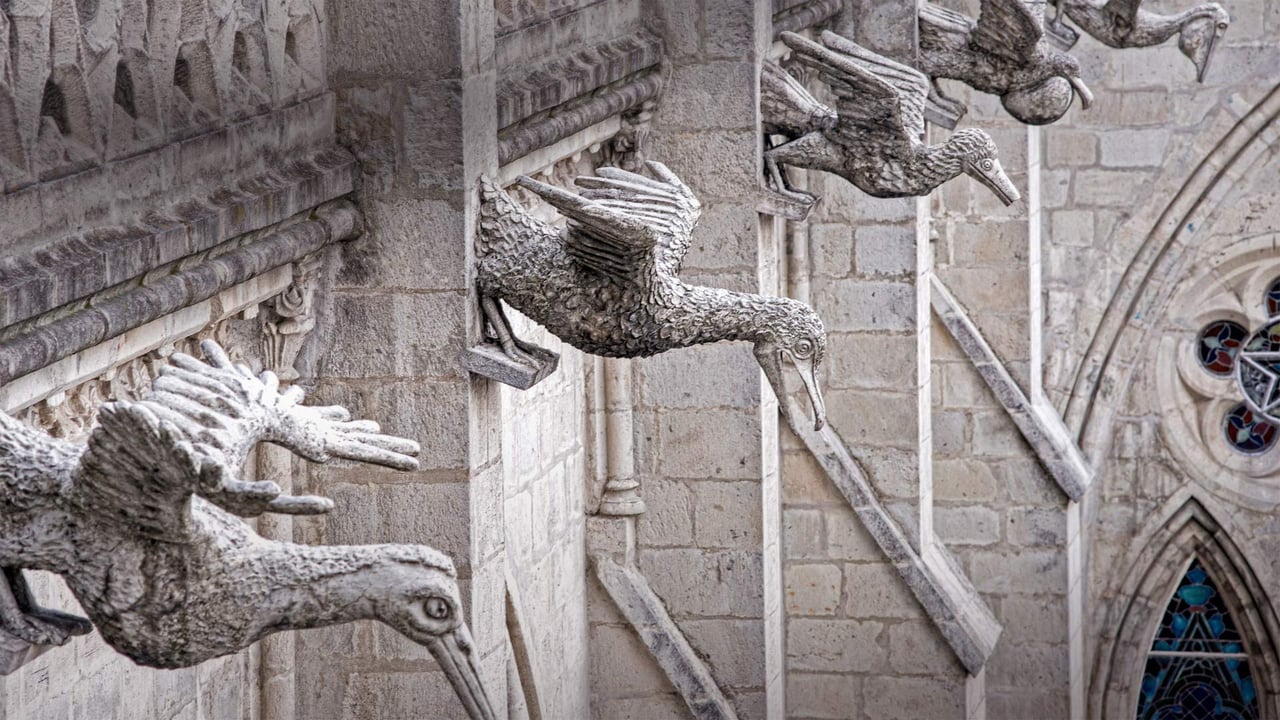 Grotesques of Ecuadorian seabirds on the Basílica del Voto Nacional in Quito, Ecuador (© Henri Leduc/Getty Images)