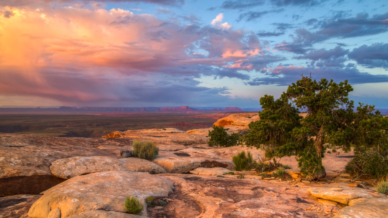 Cedar Mesa and Muley Point near Bears Ears National Monument, Utah, USA (© Jeff Clay/Tandem Stills + Motion)