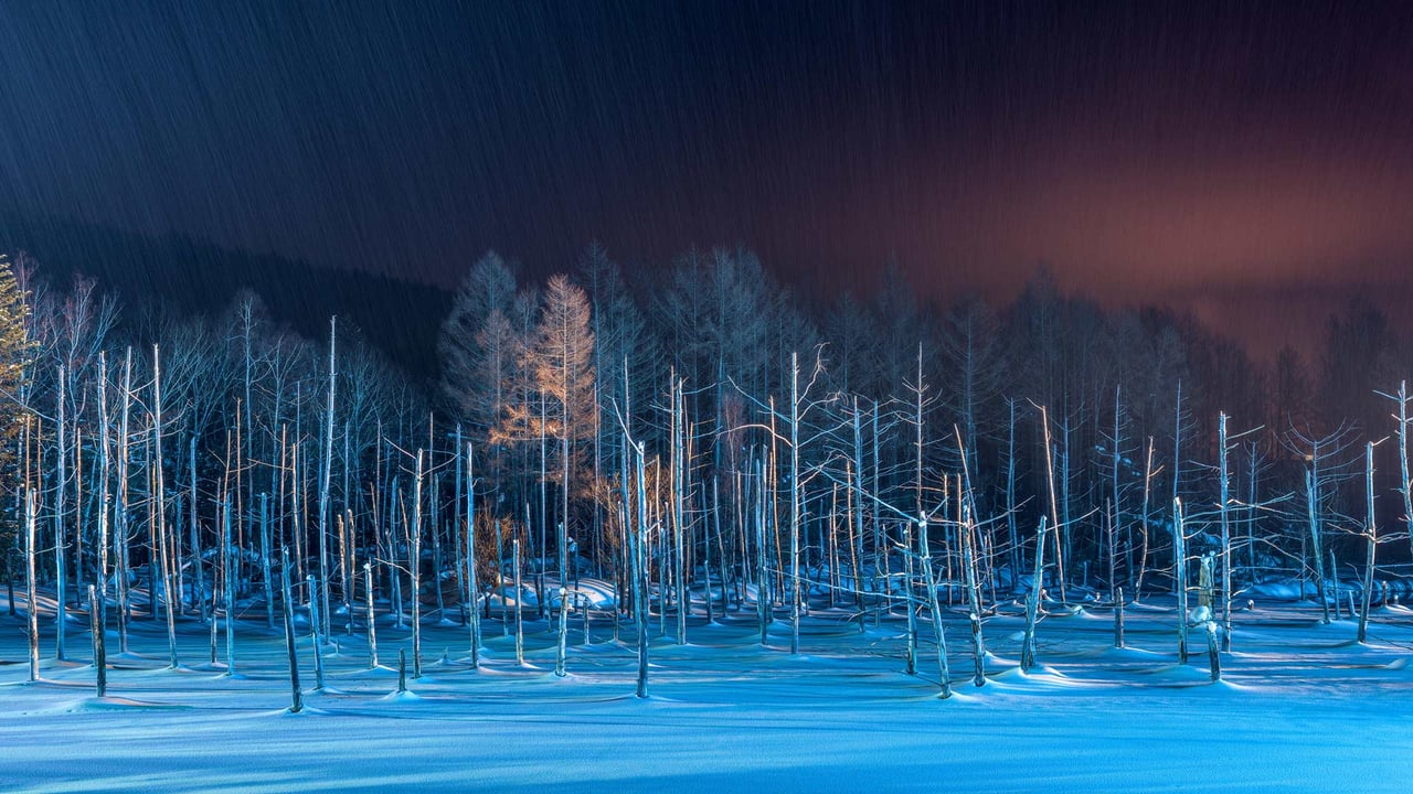 ライトアップされた青い池, 北海道 美瑛町 (© Sean Pavone/Alamy Stock Photo)