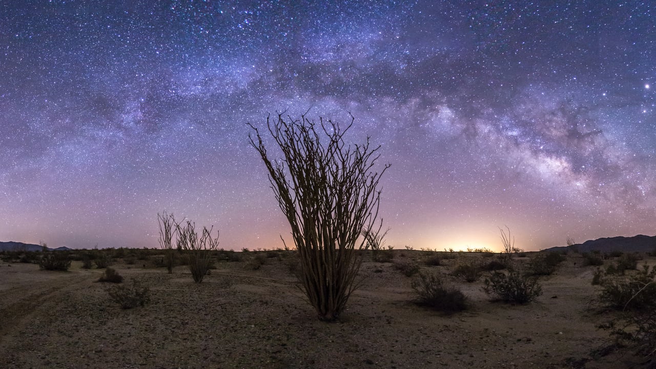 La Voie lactée au-dessus du parc d’État du désert d’Anza-Borrego, Californie, États-Unis (© Kevin Key/Slworking/Getty Images)