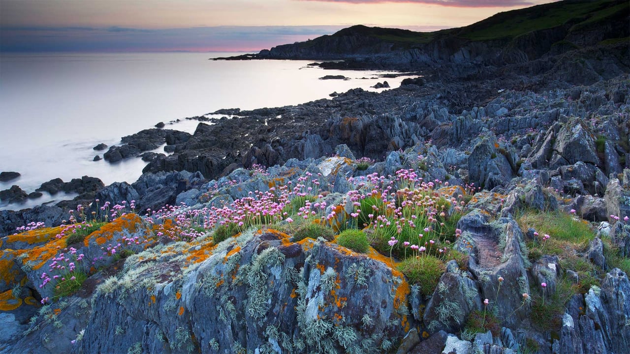 Bull Point in Devon, England (© Robert Harding World Imagery/Offset by Shutterstock)