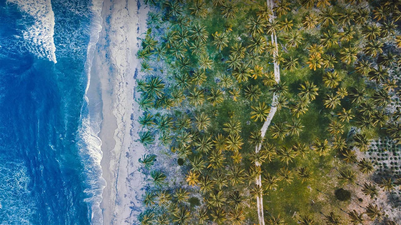 Caribbean coast near Parque Nacional Natural Tayrona, Colombia (© Nicholas Hills/Getty Images)