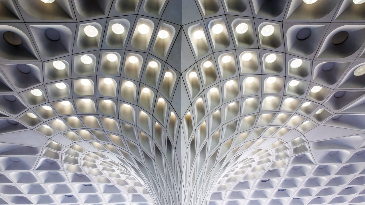 Chhatrapati Shivaji Maharaj International Airport (© AWL Images/DanitaDelimont.com)
