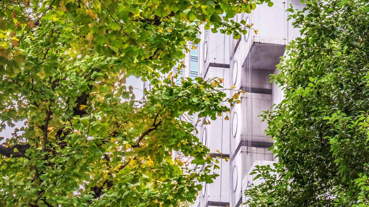 ｢中銀カプセルタワービル｣東京, 新橋 (© ILYA GENKIN/Alamy Stock Photo)