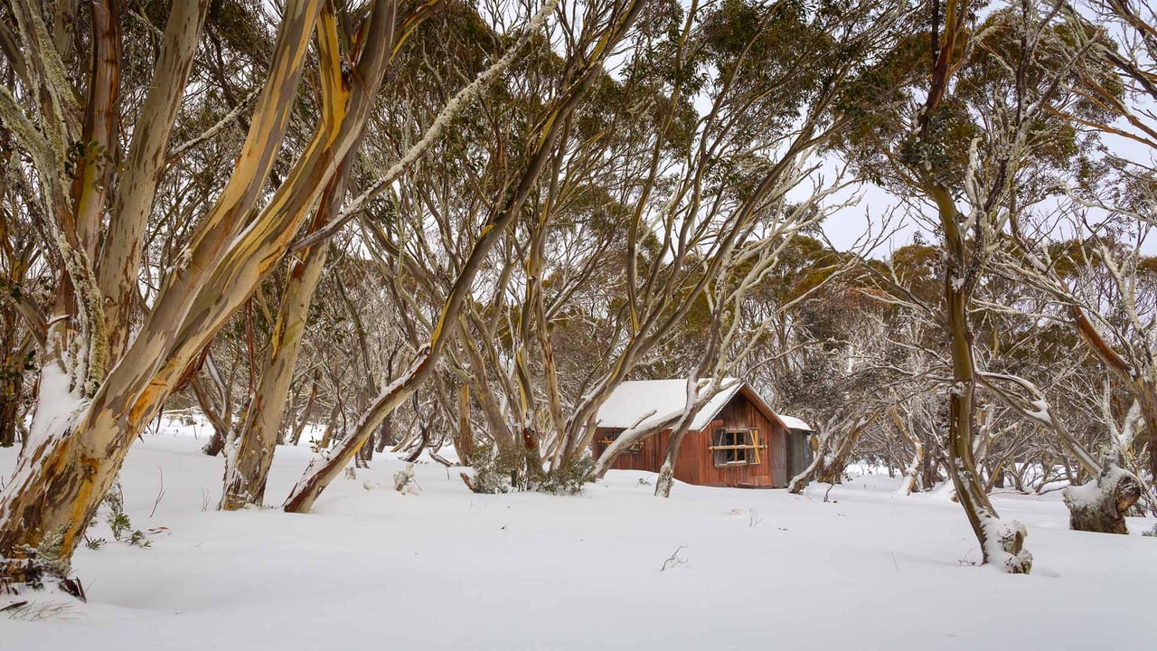 Cattleman’s hut at Dinner Plain, Victoria (© Viewhillphoto/iStock/Getty Images Plus)