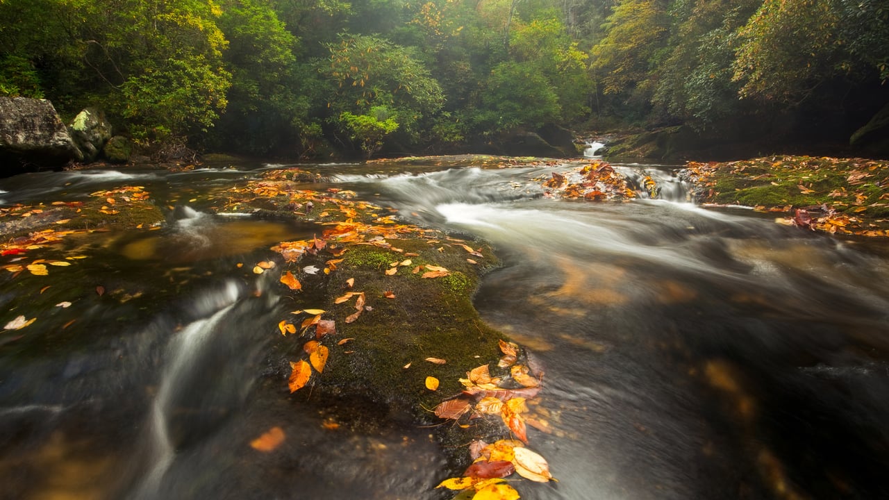 Chattooga River in the Appalachian Mountains, North Carolina, United States (© mtilghma/Getty Images)