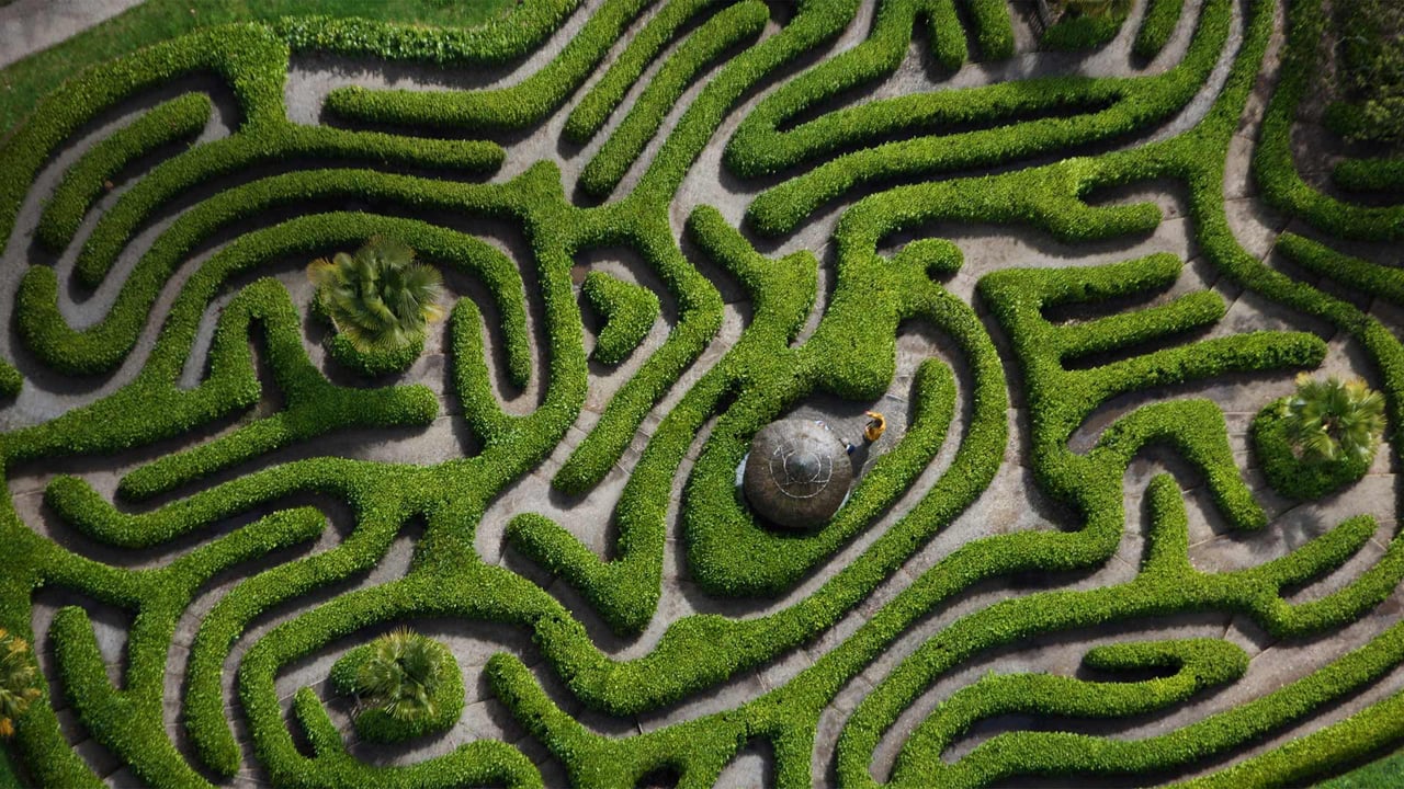 Aerial view of the cherry laurel maze in Glendurgan Garden, Cornwall, England (© Richard Cooke/Alamy)