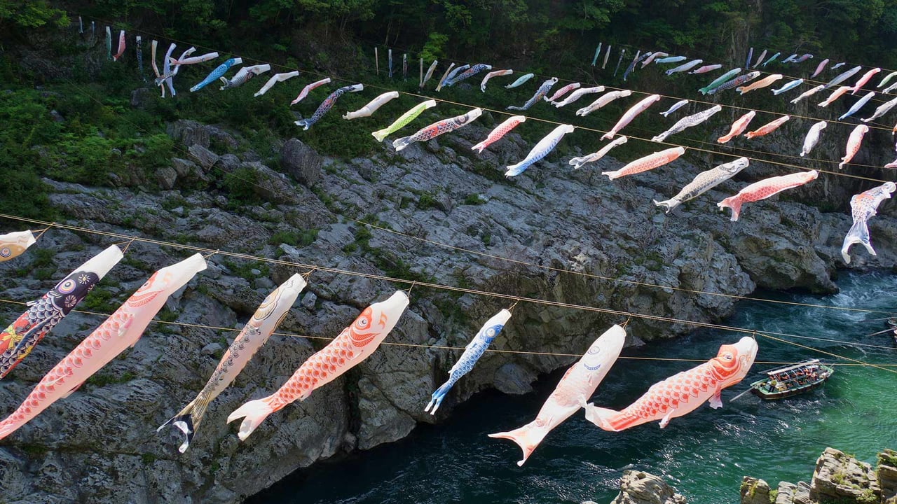 大歩危峡に泳ぐ鯉のぼり, 徳島県 (© fz750/Getty Images)