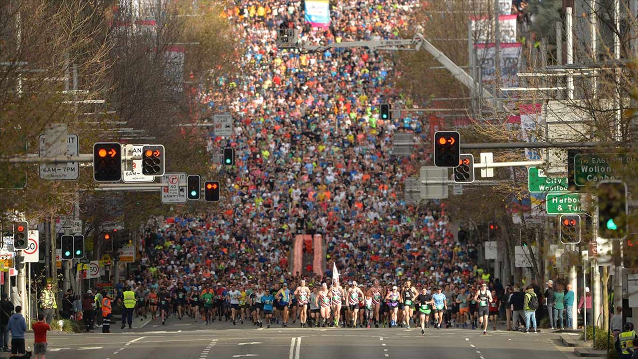 Thousands of runners take part in the annual City2Surf road race on August 12, 2018 (© PETER PARKS/AFP/Getty Images)