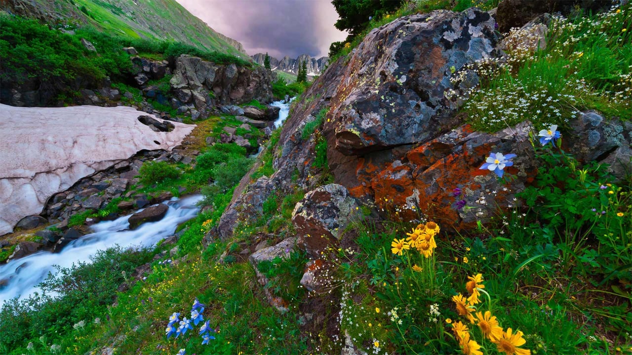 American Basin in southern Colorado's San Juan Mountains (© Blaine Harrington III/Alamy)