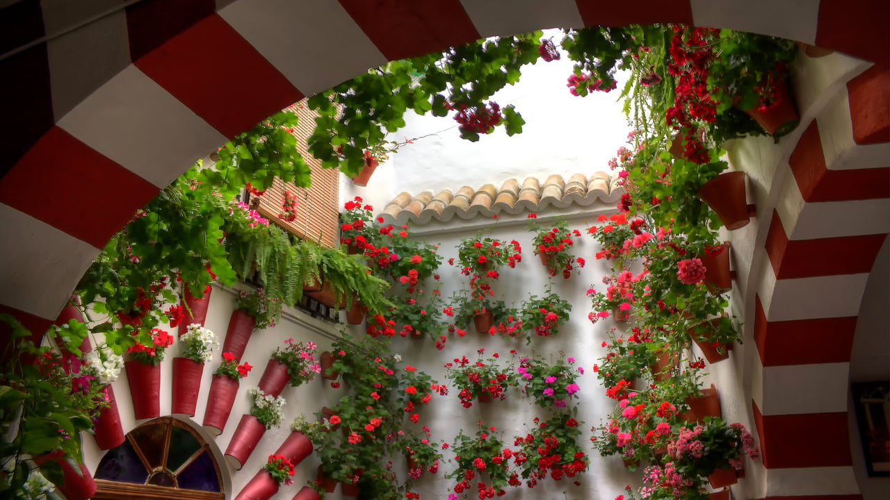 Festival de los Patios Cordobeses, Andalucía (© DIEGO GUTIERREZ/Getty Images)