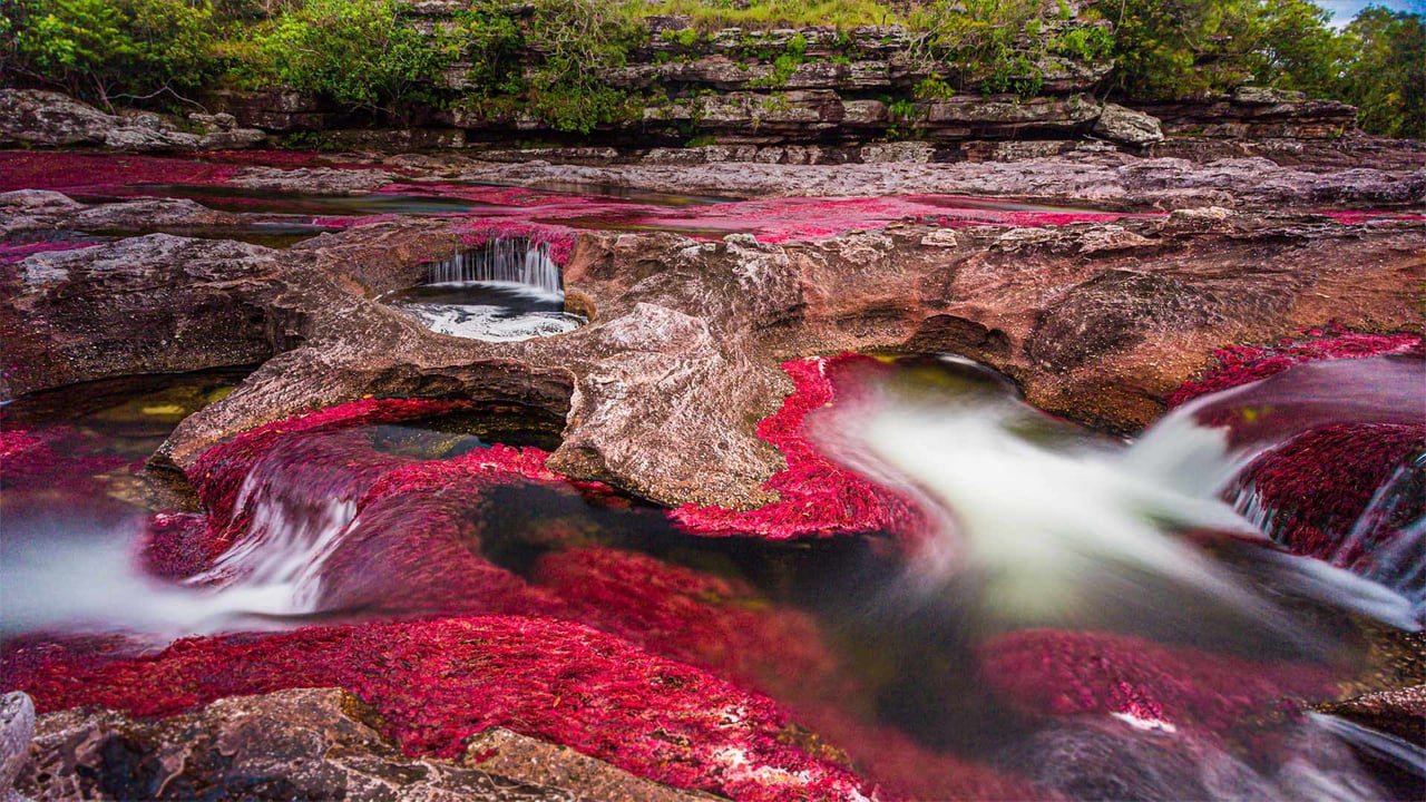 Caño Cristales river in the Serranía de la Macarena region of Colombia (© Jorge Iván Vásquez Cuartas/Getty Images)