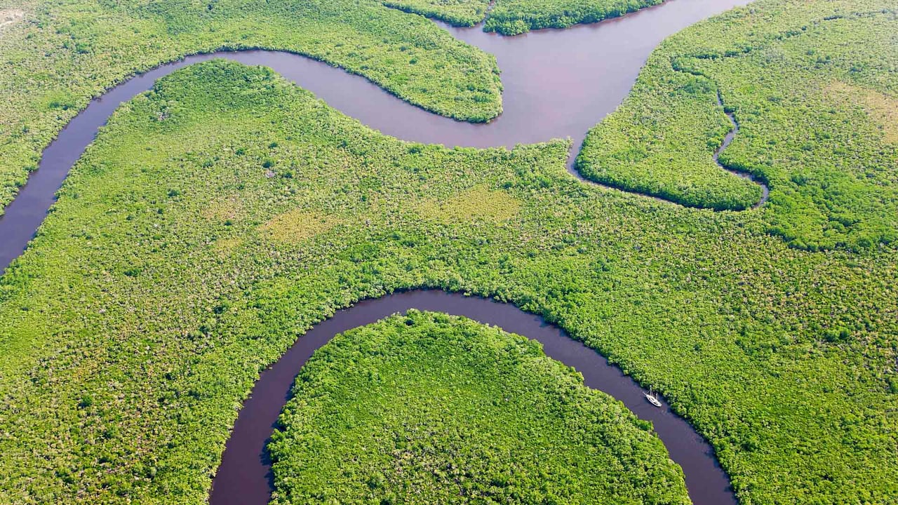 Aerial view of rainforest and Daintree River, Australia (© Peter Adams/Offset)