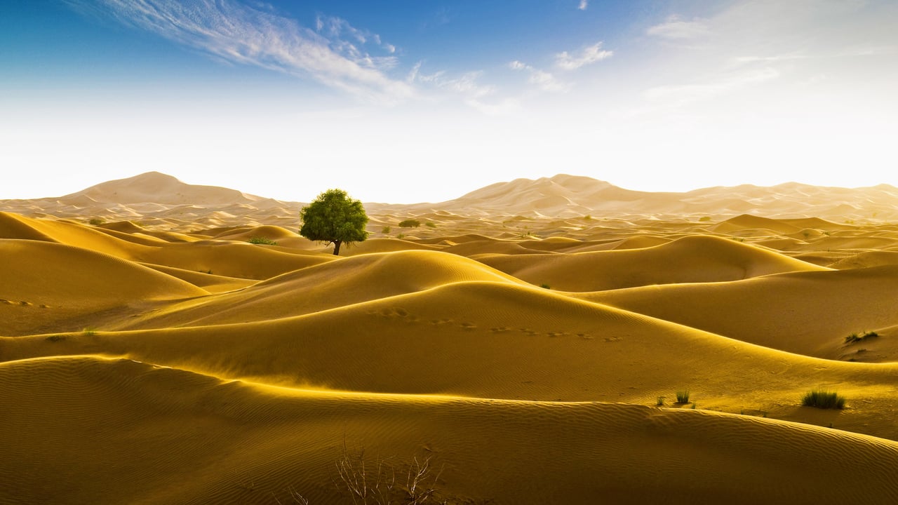 Rub' al Khali desert on the border of Oman and the Emirate of Dubai (© Daniel Schoenen/Offset by Shutterstock)