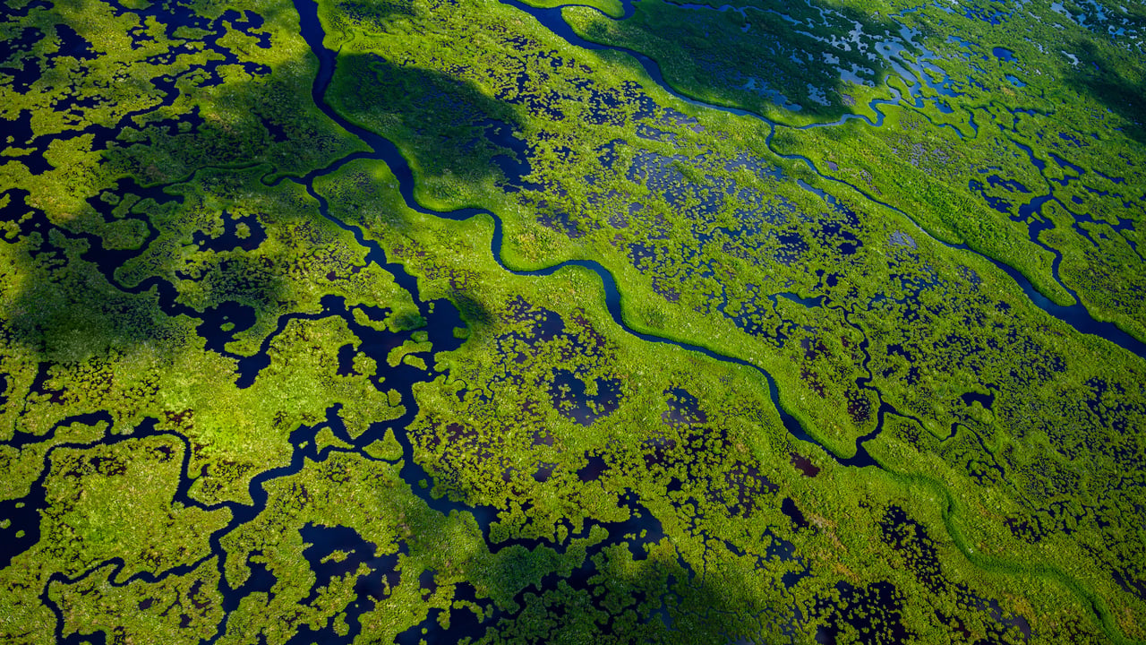 Aerial view of Everglades National Park, Florida, United States (© Tetra Images/Getty Images)