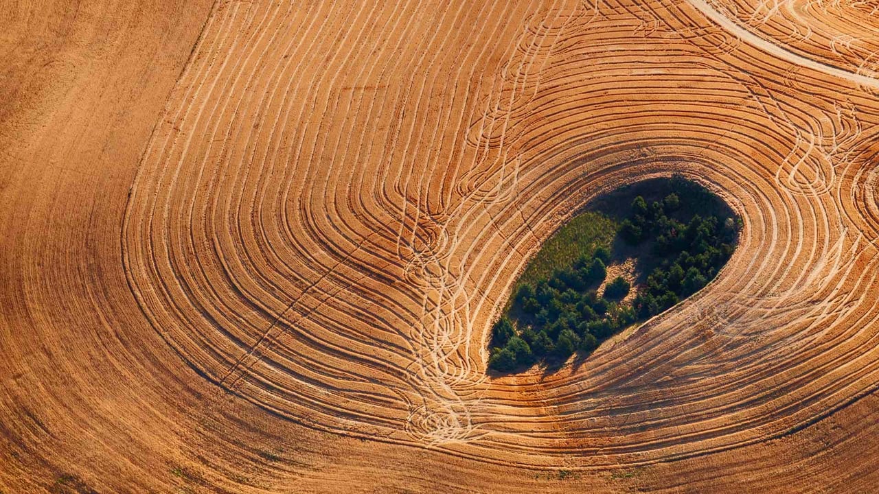 Farmland in the Palouse, Washington, USA (© Art Wolfe/Getty Images)