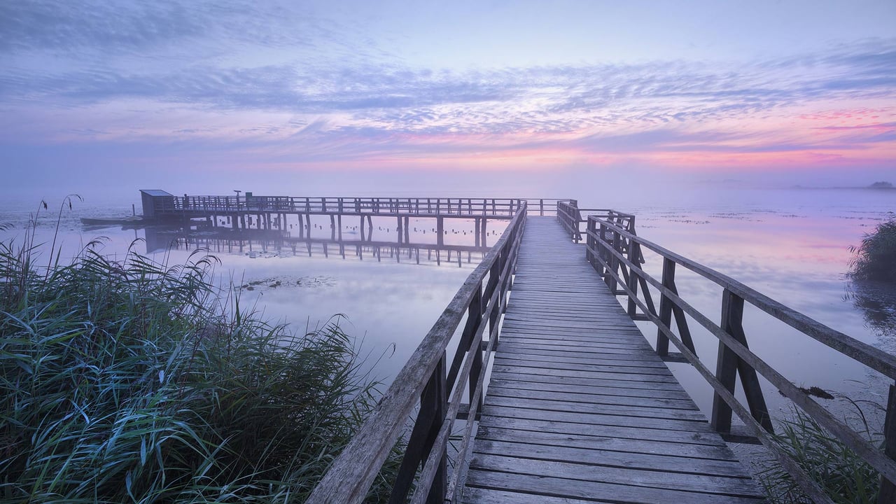 Der Federseesteg in der Morgendämmerung nahe Bad Buchau, Baden-Württemberg, Deutschland (© Reinhard Schmid/Huber/eStock Photo)