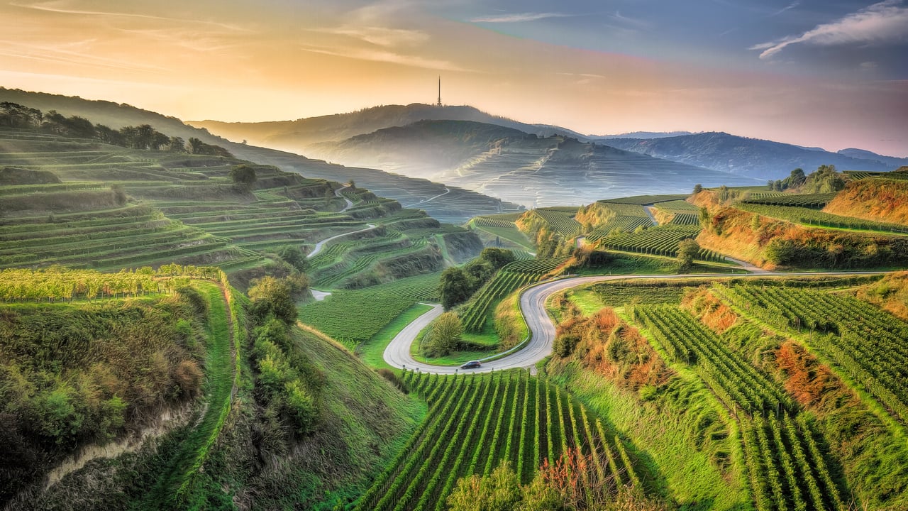 Kaiserstuhl, Baden-Württemberg, Germany (© EyeEM Mobile GmbH/Getty Images)