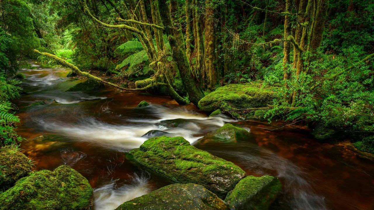 Franklin-Gordon Wild Rivers National Park, Tasmania (© Heeb Photos/eStock Photo)