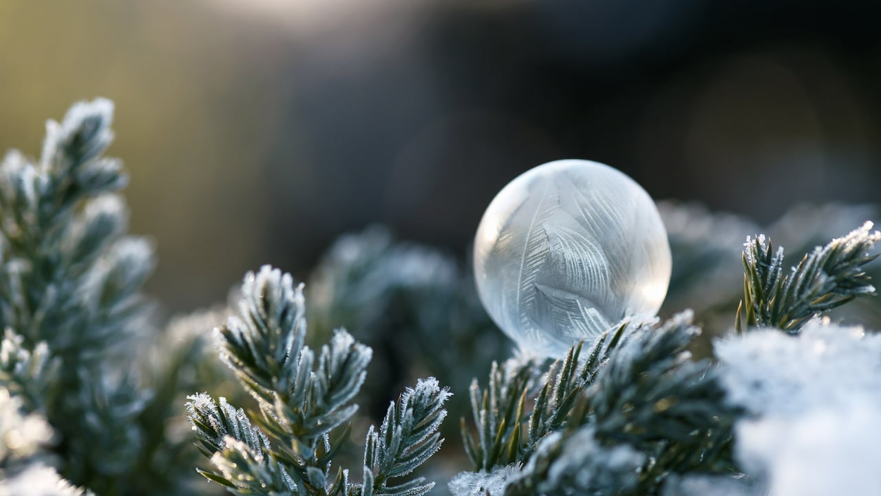 Wundervoll gefrorene Seifenblase (© Oksana Schmidt/Getty Images)