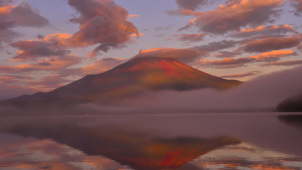 朝焼けに輝く富士山と山中湖, 山梨県 (© magicflute002/Getty Images)