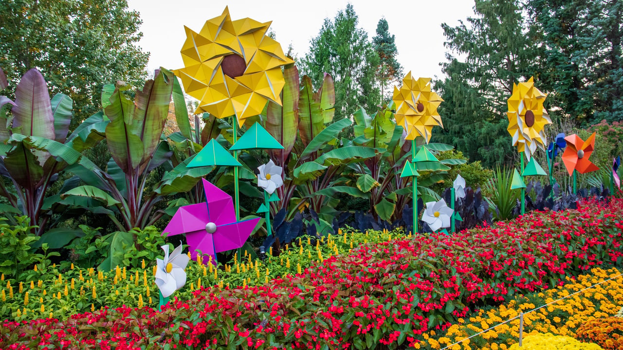 Atlanta Botanical Garden, Atlanta, Georgia (© Marcus E Jones/Shutterstock)