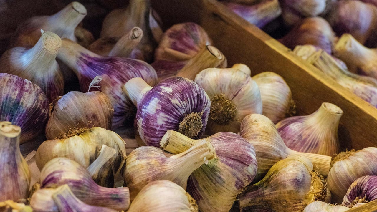 Fresh garlic bulbs for sale at the garlic farm on the Isle of Wight, England (© Steve Hawkins Photography/Alamy Stock Photo)