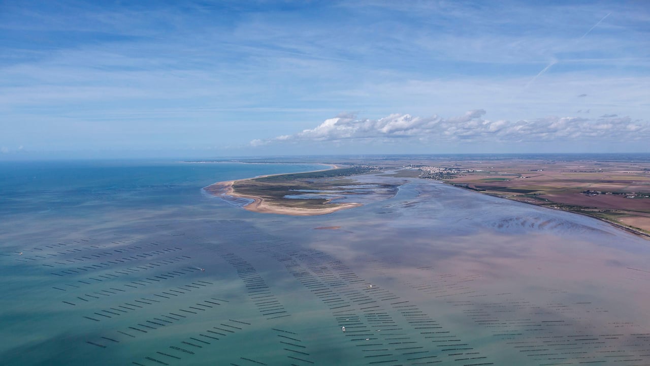 Parc ostréicole à La Faute-sur-Mer, Pointe d'Arcay France, Vendée (© LEROY Francis/hemis.fr)
