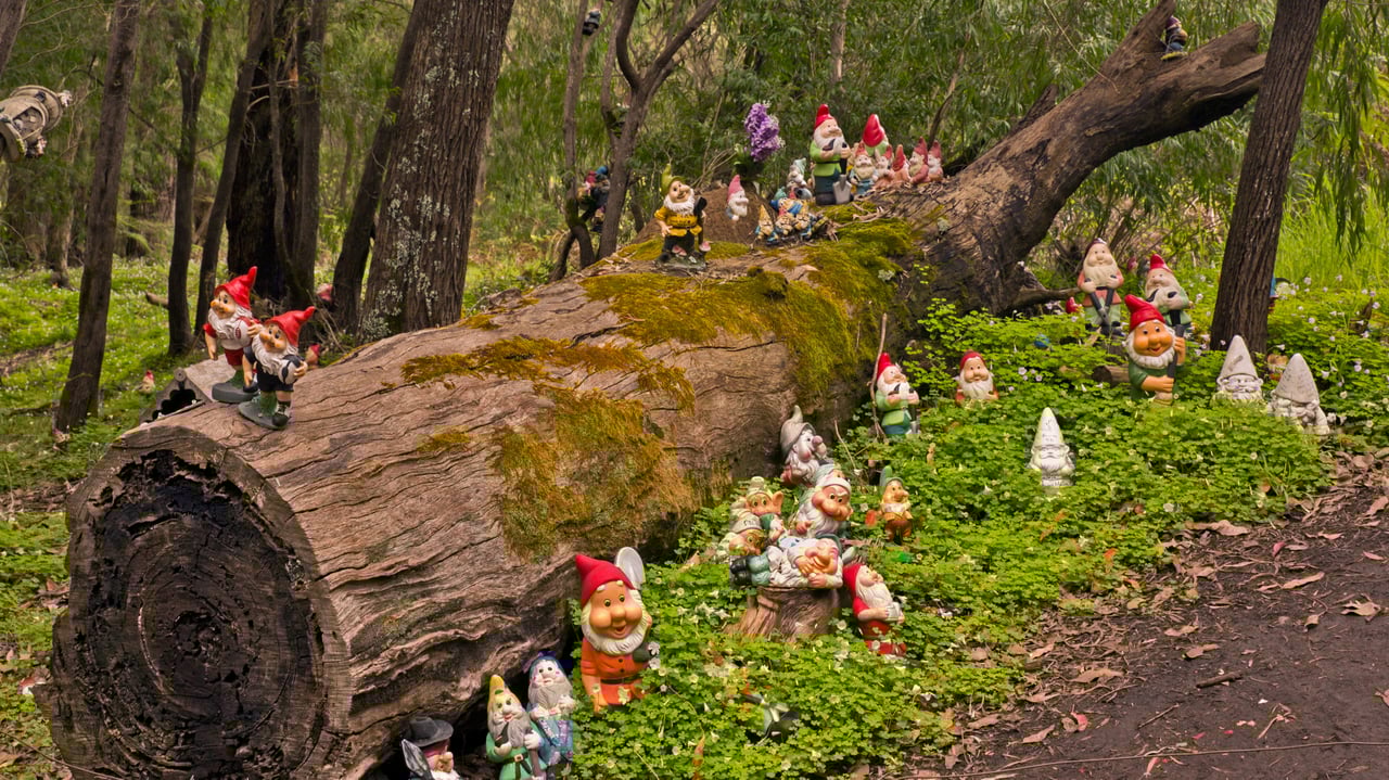Gnomesville in the Shire of Dardanup, Australia (© Amanda Hughes/Alamy)