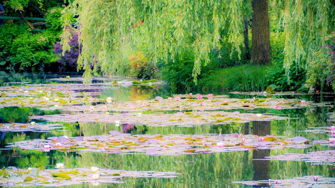 Le jardin de Monet à Giverny, France (© Simon Kirwan/Alamy Stock Photo)