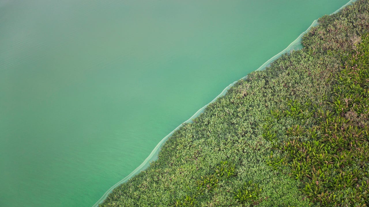 Vista aérea da Lagoa Verde, Angra dos Reis, Rio de Janeiro (© Avalon/Getty Images)