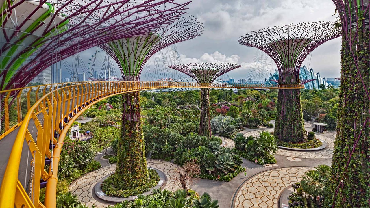 The Supertree Grove in Singapore's Gardens by the Bay (© John Warburton-Lee/Danita Delimont)