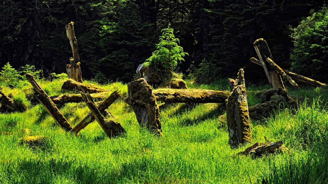 Gwaii Haanas National Park Reserve and Haida Heritage Site, British Columbia, Canada (© Don Johnston_WC/Alamy Stock Photo)