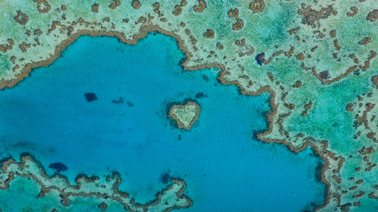 Heart Reef, part of the Great Barrier Reef off Queensland, Australia (© Peter Adams/Offset by Shutterstock)