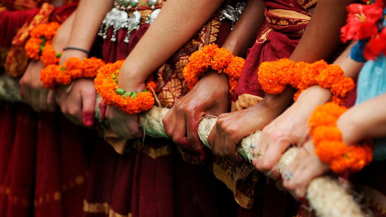 Ratha Yathra chariot being pulled in Odisha (© DIBYANGSHU SARKAR/AFP/Getty Images)