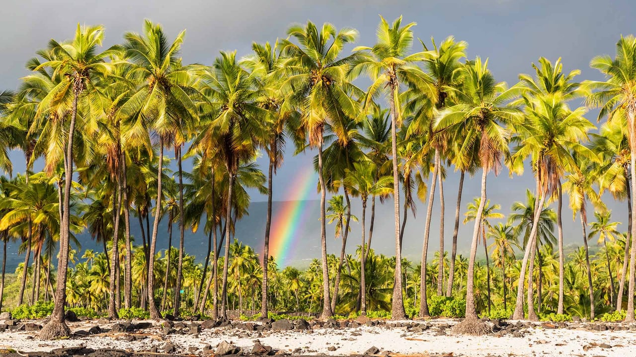 Pu'uhonua o Hōnaunau National Historical Park, Big Island, Hawaii (© Westend61/Getty Images)