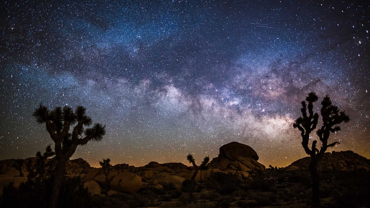 Milky Way over Joshua Tree National Park, California (© Schroptschop/Getty Images)