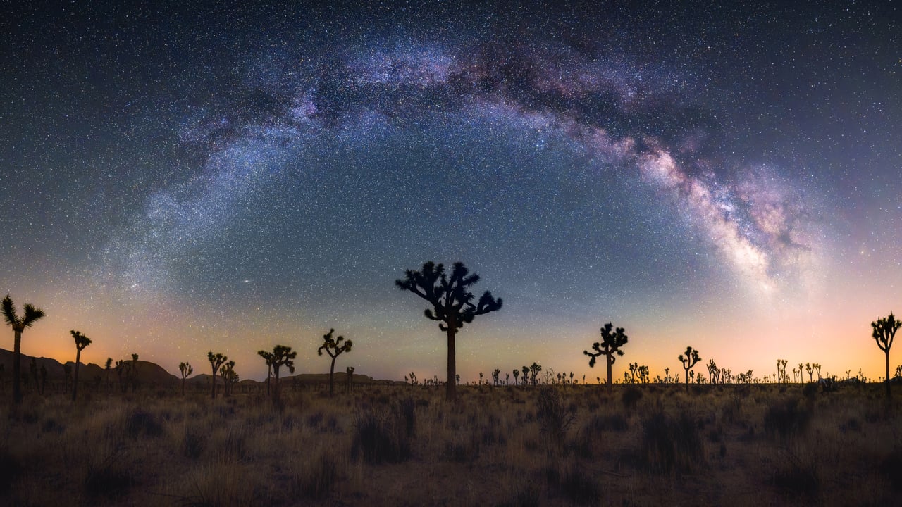 Joshua trees under the Milky Way, California (© Chao Zhang/Getty Images)