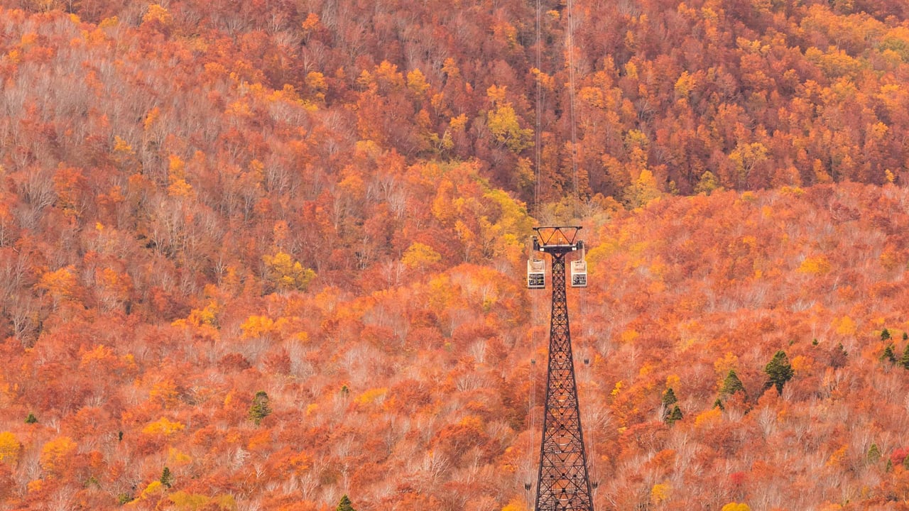 秋の八甲田ロープウェイ, 青森県 青森市 (© Torsakarin/Getty Images)
