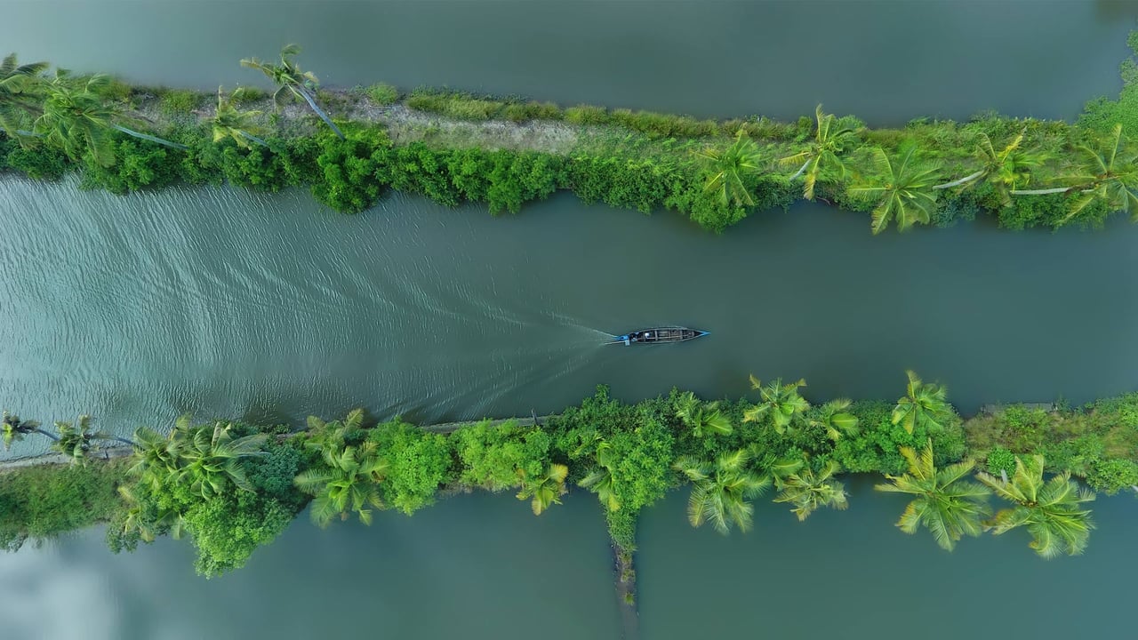 Beautiful aerial view of Kerala (© ebin francis/Shutterstock)