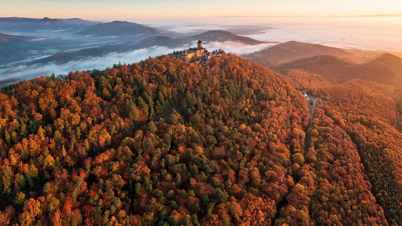 Château du Haut-Koenigsbourg au lever du soleil, à Orschwiller, Alsace, Grand Est (© PATRICK HERTZOG/AFP via Getty Images)